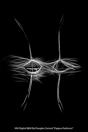 HM Digital B&W By Douglas Conrad "Pappus Radiance"