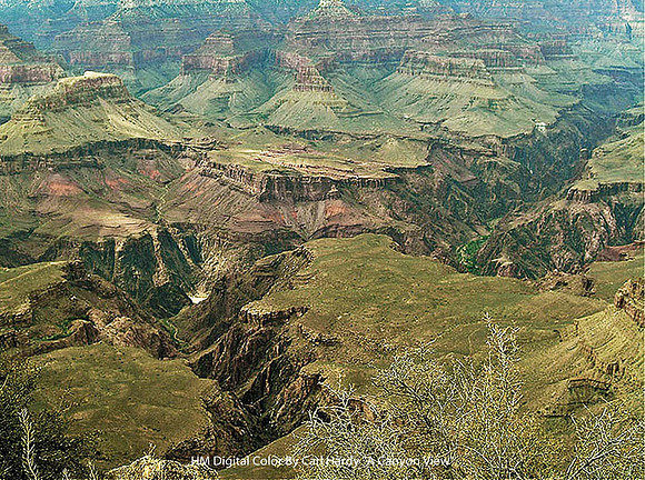 HM Digital Color By Carl Hardy "A Canyon View"