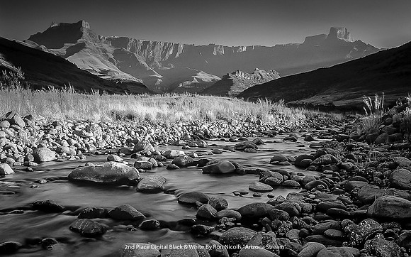 2nd Place Digital B&W by Ron Nicolls - "Arizona Stream"