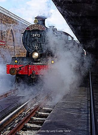 HM Digital Color By Larry Crabb - "5972"