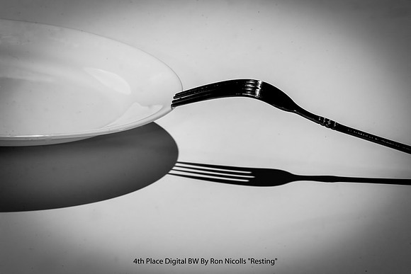 4th Place Digital BW By Ron Nicolls - "Resting"