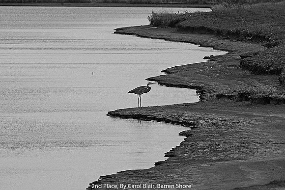 2ND PLACE, BY CAROL BLAIR, "BARREN SHORE"