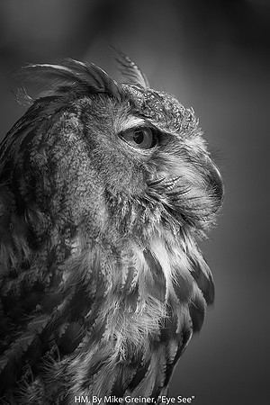 HM, BY MIKE GREINER, "EYE SEE"
