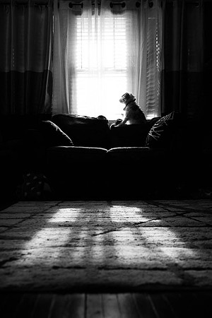 2ND, SHANE MONAHAN, LONELY DOG