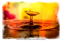 3rd Place Color Print by Douglas Conrad - "Waterdrop Elegance"