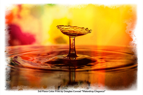 3rd Place Color Print by Douglas Conrad - "Waterdrop Elegance"