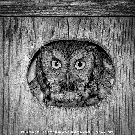 1st Place Digital B&W Advance Class by Michael Greiner - My House.jpg