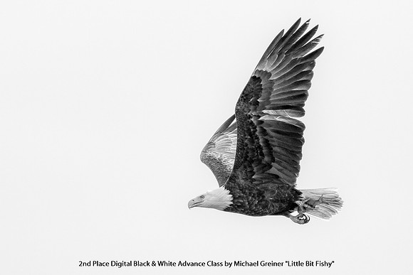 2nd Place Digital B&W Advance Class by Michael Greiner - "Little Bit Fishy"