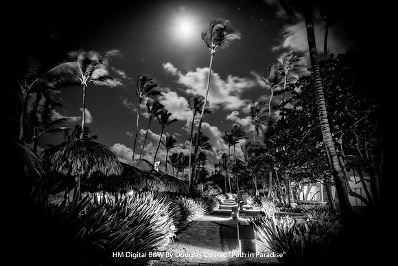 HM Digital B&W By Douglas Conrad "Path in Paradise"