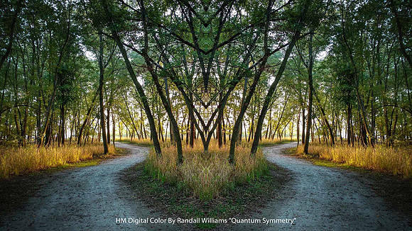 HM Digital Color By Randall Williams "Quantum Symmetry"