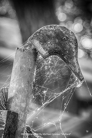 HM Digital B&W By Michael Greiner "Mallard"