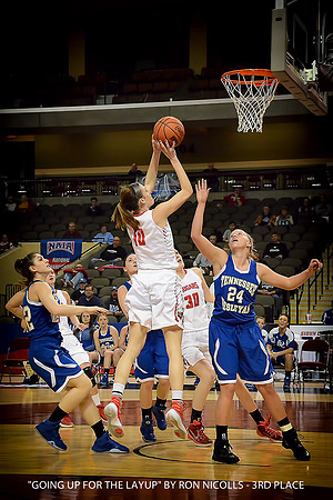 GOING UP FOR THE LAYUP BY RON NICOLLS - 3RD PLACE