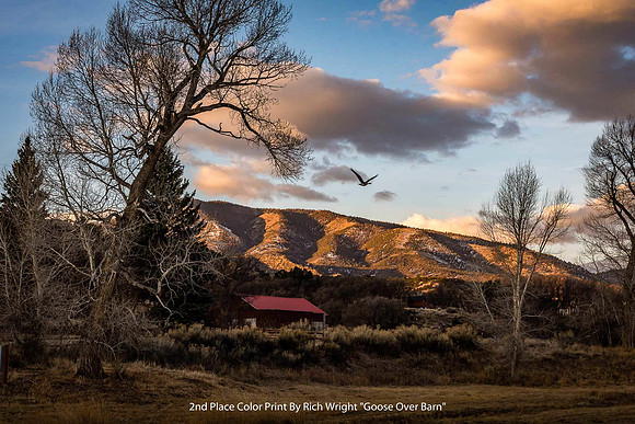 2nd Place Color Print By Rich Wright "Goose Over Barn"