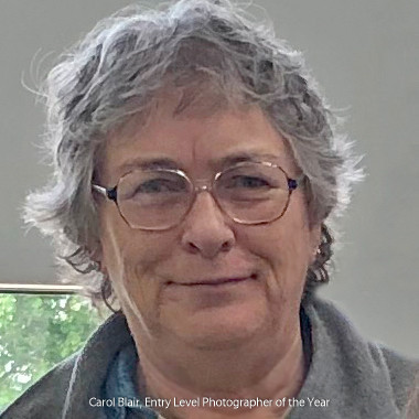 Carol Blair - Entry Level Photographer of the Year