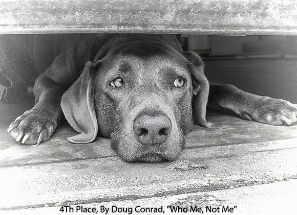 4TH PLACE, BY DOUG CONRAD, "WHO ME, NOT ME"