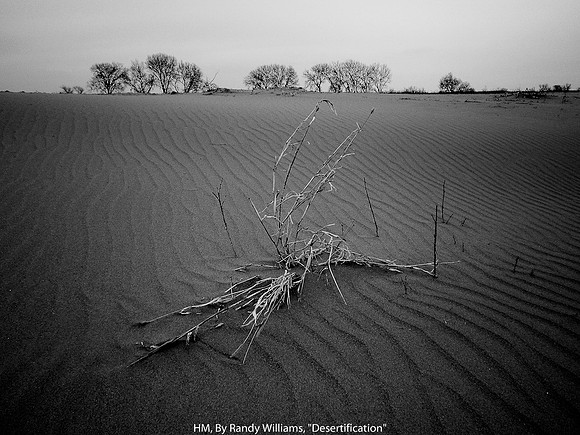HM, By Randy Williams, "Desertification"