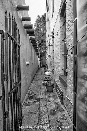 4th Place B&W Print By Michael Greiner "Dead End"