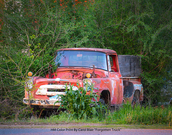 HM Color Print By Carol Blair "Forgotten Truck"