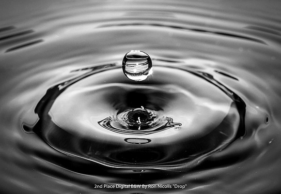 2nd Place Digital B&W By Ron Nicolls "Drop"