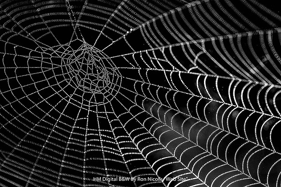 HM Digital B&W By Ron Nicolls "Web Site