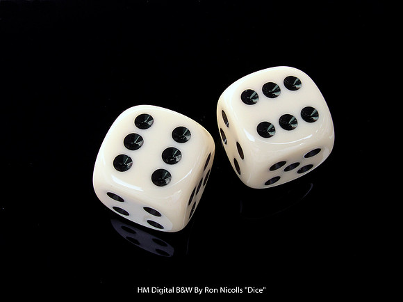 HM Digital B&W By Ron Nicolls "Dice"