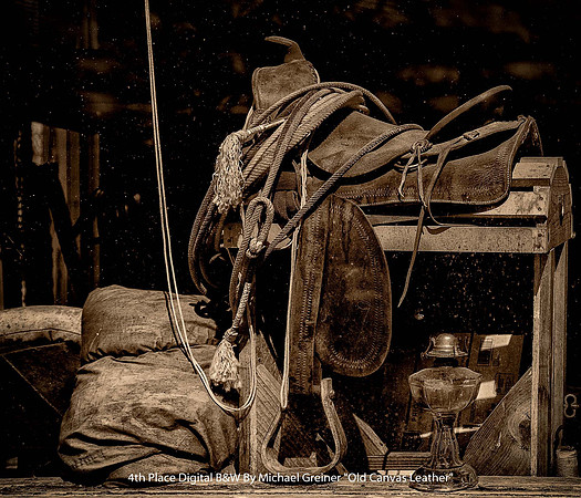 4th Place Digital B&W By Michael Greiner "Old Canvas Leather"