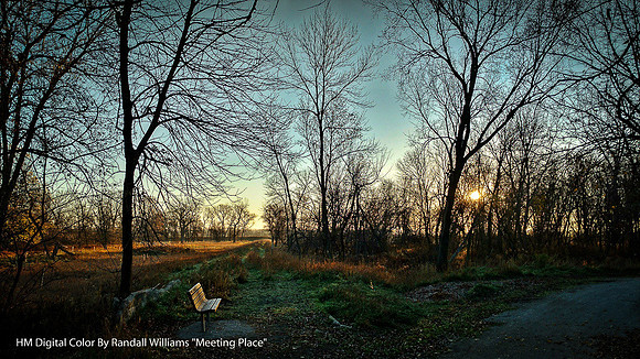 HM Digital Color By Randall Williams, "Meeting Place"