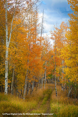 1st Place Digital Color By Michael Griener, "Aspen Lane"