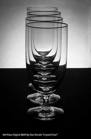 4th Place Digital B&W By Ron Nicolls, "Crystal Clear"