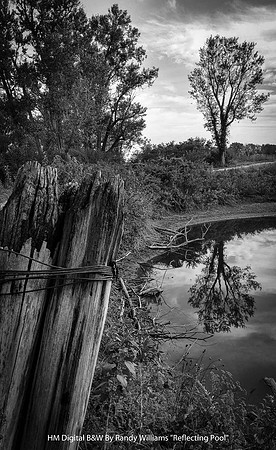 HM Digital B&W By Randy Williams "Reflecting Pool"