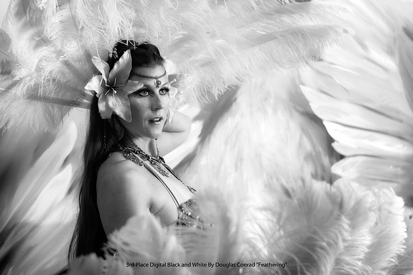 3rd Place Digital B&W By Douglas Conrad - "Feathering."