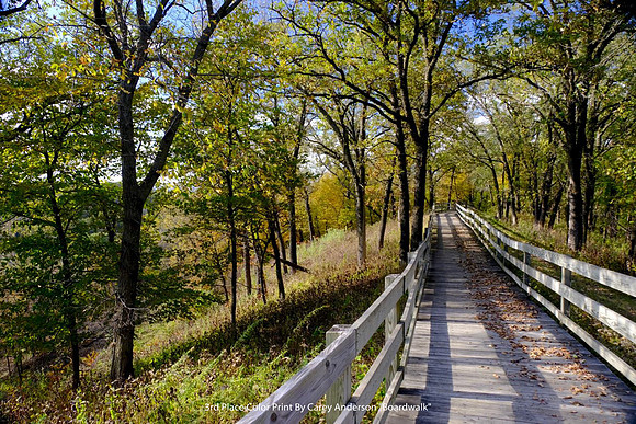 3rd Place Color Print By Carey Anderson - "Boardwalk"