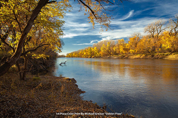 1st Place Color Print By Michael Greiner - "Golden Flow"