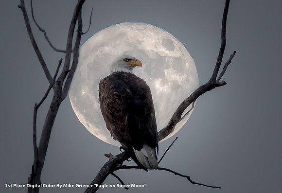 1st Place Digital Color By Mike Griener "Eagle on Super Moon"