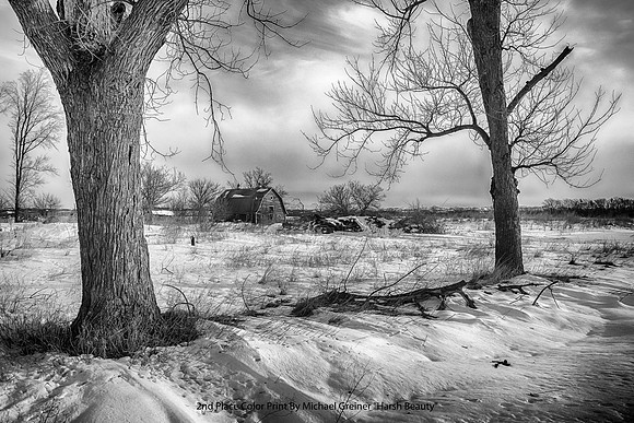 2nd Place B&W Print By Michael Greiner - "Harsh Beauty"