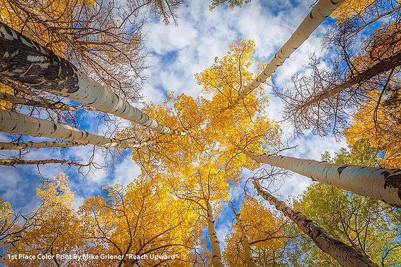 1st Place Color Print By Mike Griener "Reach Upward"