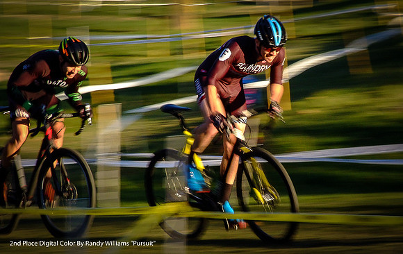 2nd Place Digital Color By Randy Williams "Pursuit"