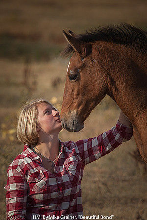 HM, BY MIKE GREINER, "BEAUTIFUL BOND"