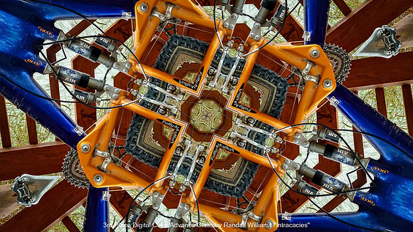 3rd Place Digital Color Advance Class by Randall Williams - Intracacies.jpg