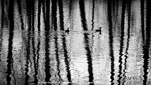 2nd Place Digital B&W Advance Class by Randall Williams - Ripples.jpg