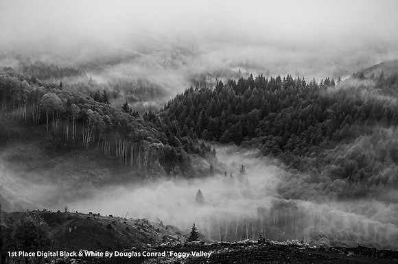 1st Place Digital Black and White By Douglas Conrad, "Foggy Valley"