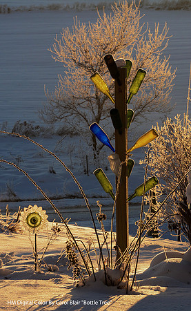 HM Digital Color By Carol Blair Bottle Tree-1.jpg