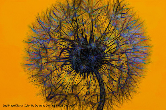 2nd Place Digital Color By Douglas Conrad, "Neon Dandelion"