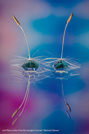 2nd Place Color Print By Douglas Conrad, "Abstract Dance"