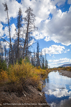 3rd Place Digital Color By Michael Griener, " Mountain Stream"