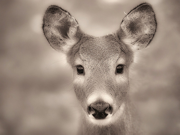 1st, Michael Greiner, "One to One"