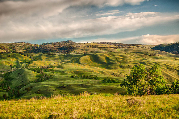 1st, Doug Conrad, "Spring In Montana"