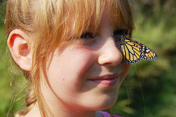 HM, Tom Schoening, "Butterfly Kiss"