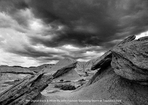 HM Digital BW By John Paulson "Incoming Storm at Toadstool Park"