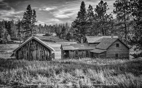 "Abandoned Homestead" By Douglas Conrad - Open Class Black & White Print of the Year